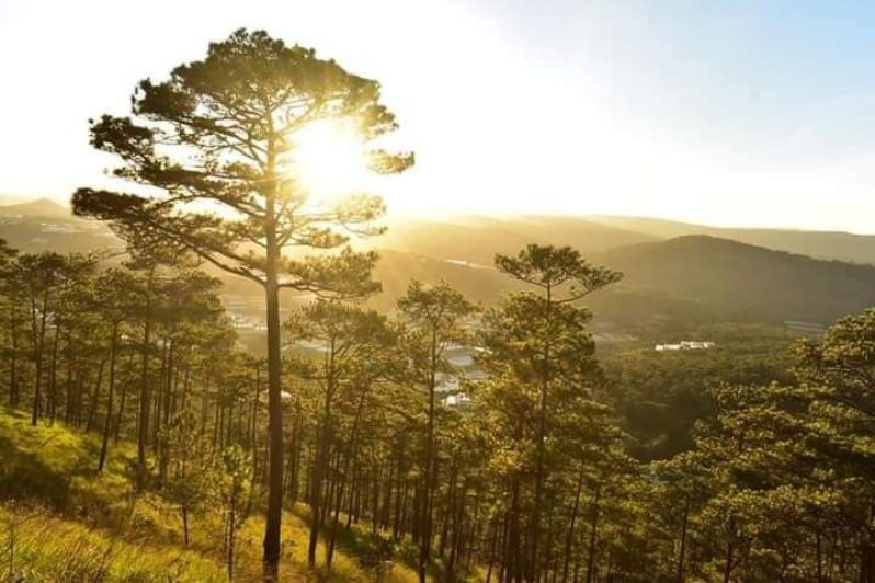 doi thong da lat 1