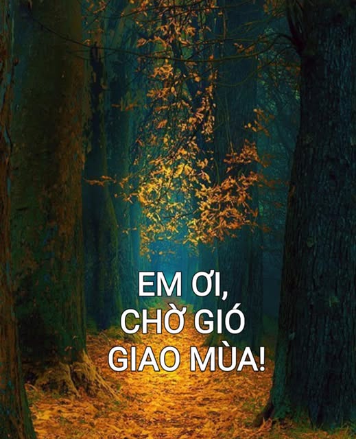 emoichogiogiaomua