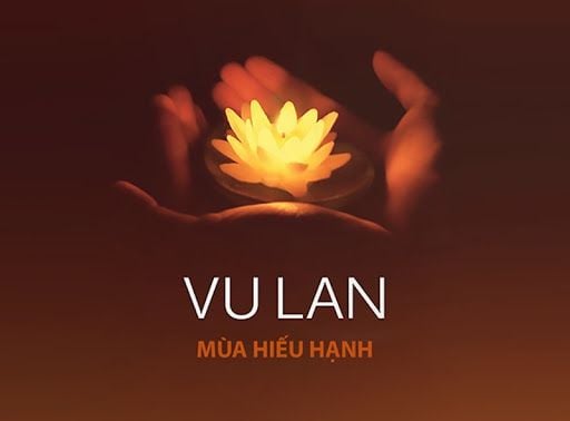 le vu lan bao hieu 2023 c20daa5124a847bf94b25f3c011d48b9 grande