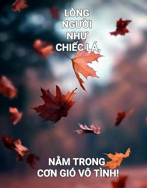 longnguoinhuchiecla