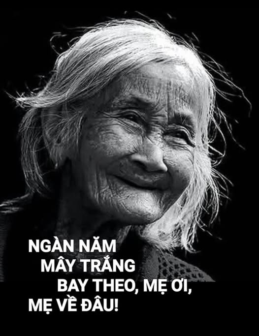 ngannammaytrangbaytheomeoimevedau