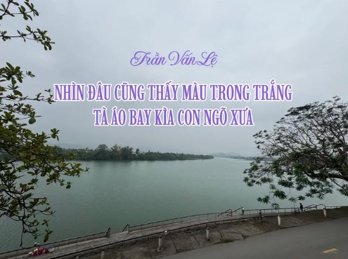 nhindaucungthaytvl