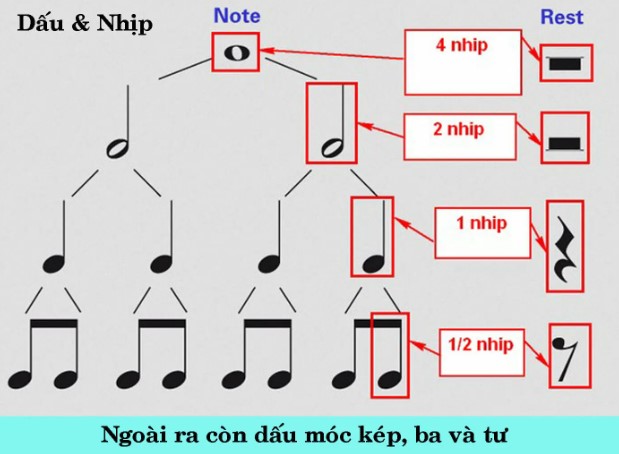 nhipphachvtd