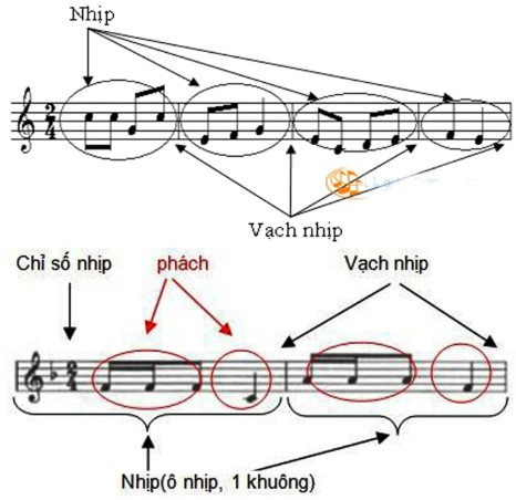 nhipphachvtd2