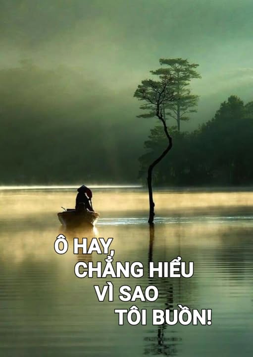 ohaychanghieuvisaotoibuon