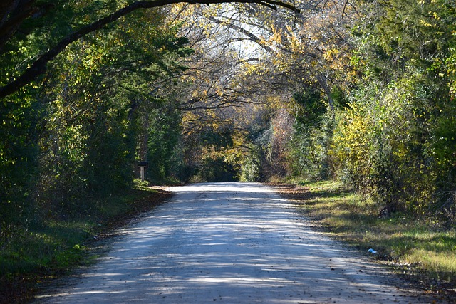 path 4675047 640