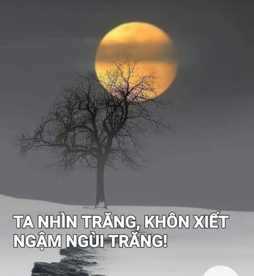 tanhintranghmtphm