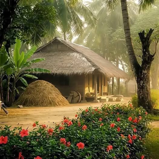 tetdoanngoquangnguyen