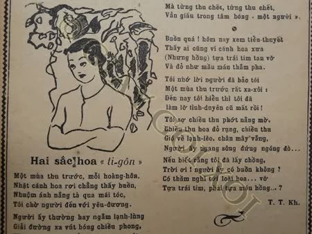 Haisachoatigon2