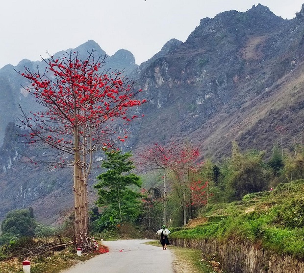 du lich ha giang thang 3 5