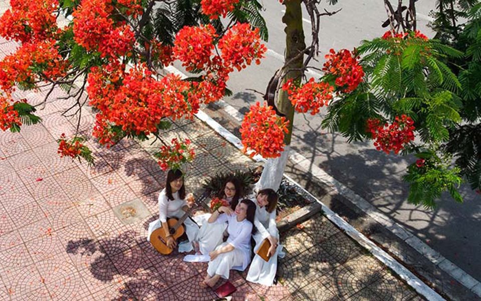 Thanh Son nhac si