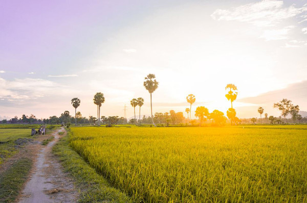 du lich mua nuoc noi an giang 1e0d5b