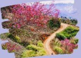 khongtuoc