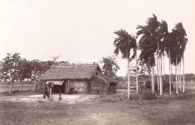 langquexua