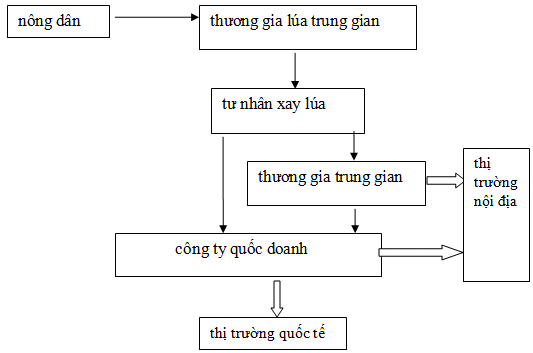 luagaosaigoncholon 3 2