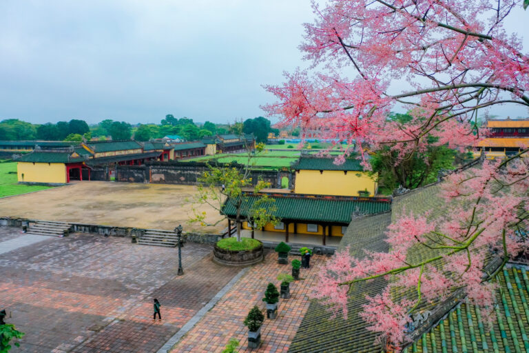 ngo dong hue 3 1578 768x512