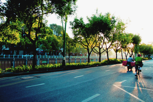 saigon covy3