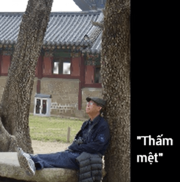 tam thanh 16