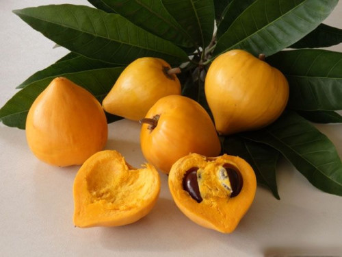thaomoc cotenlatai1