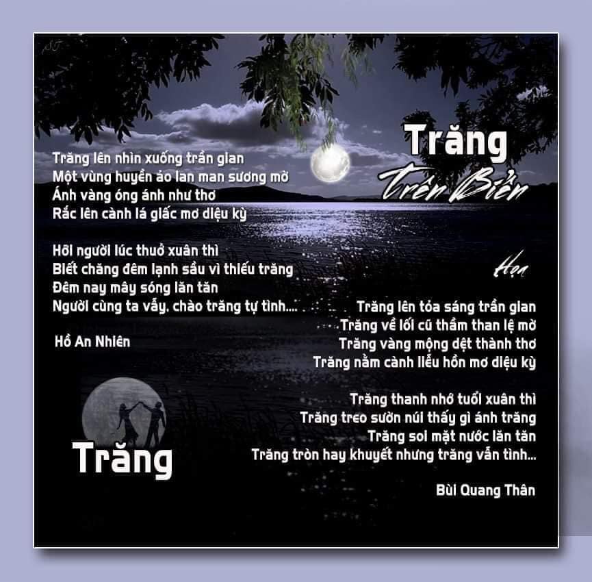 trangtrenbien