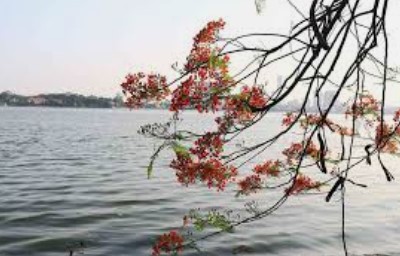 phuongthangnamhtl