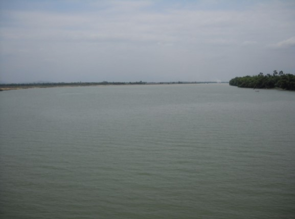 songvugia