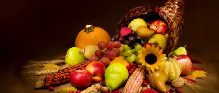 Thanksgiving 750x321