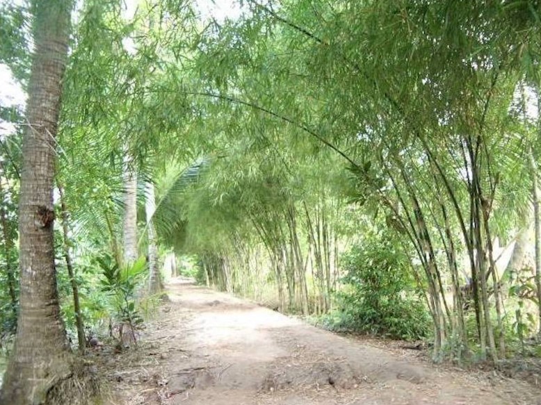 khucthu