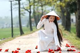 hachoanh