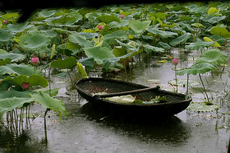 Muongman
