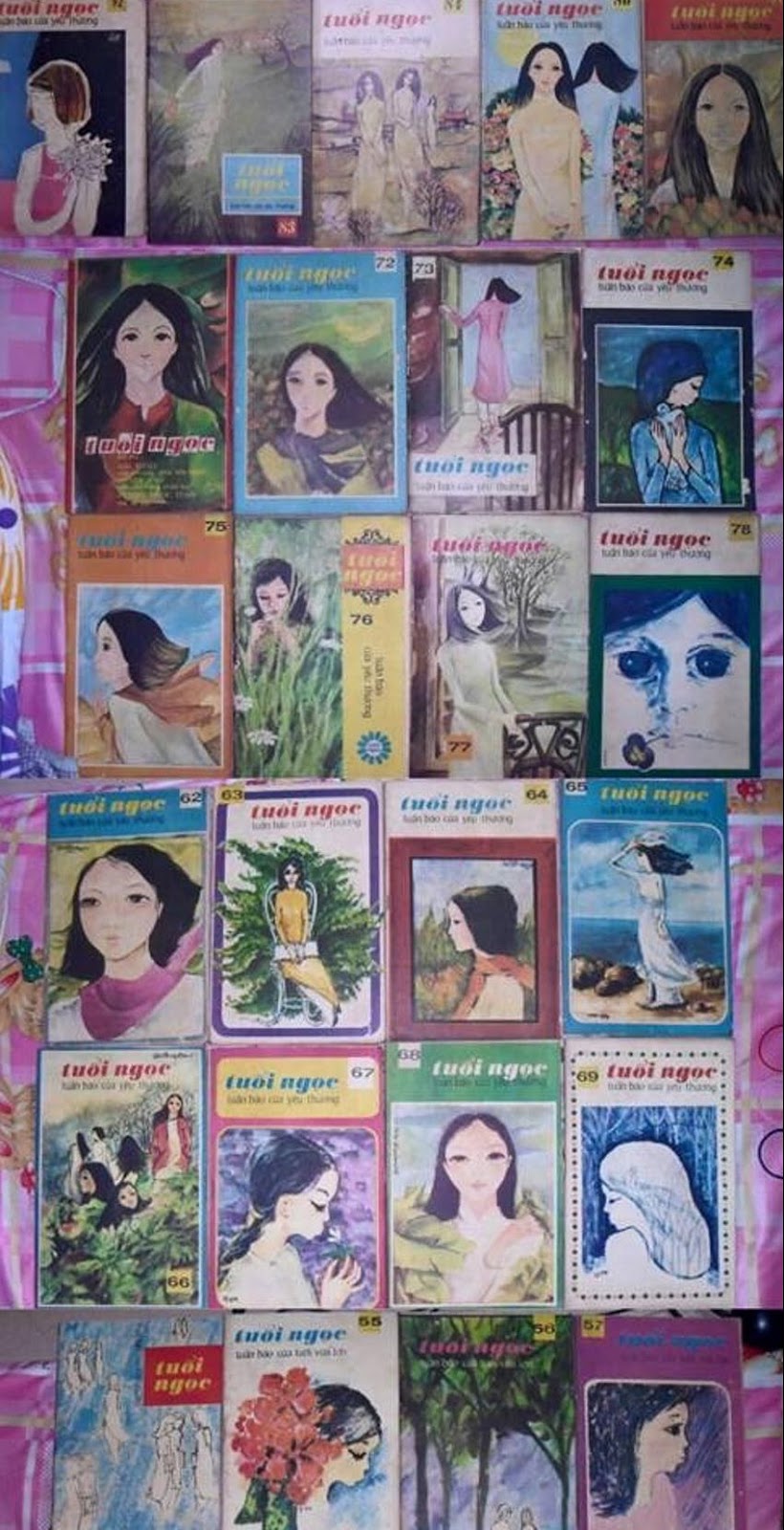 dnp nha van hoa si dinh tien luyen 4 e1572489348647