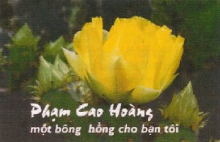 tranhoaithu bao loimo bonghongvang