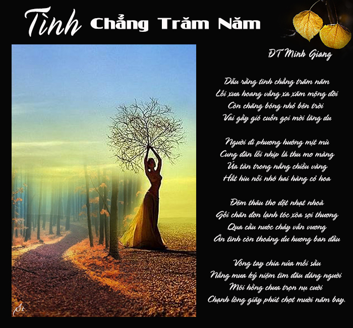 DTMG TingChangTramNam