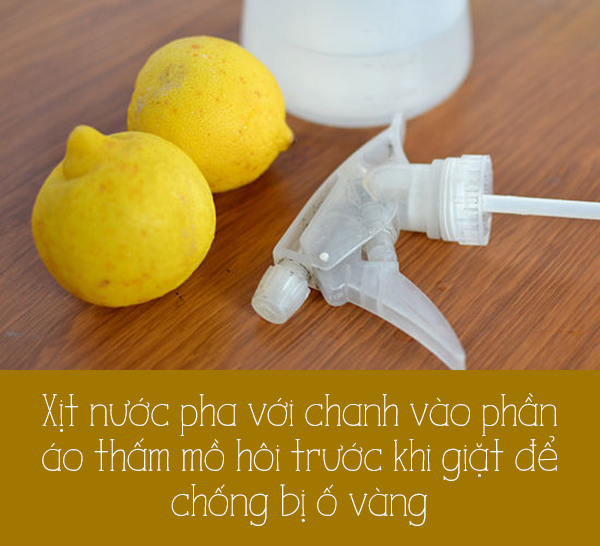 meo vat voi quan ao 6