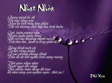 nhatnhoa