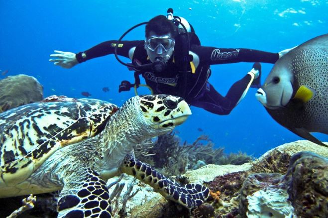 Diving in Phu Quoc