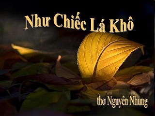 NN NhuChiecLaKho