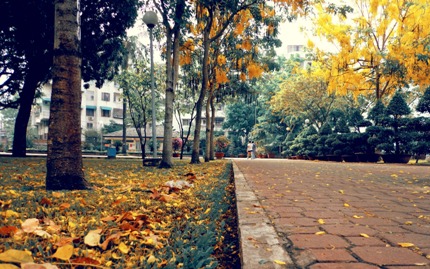 sai gon khong co mua thu