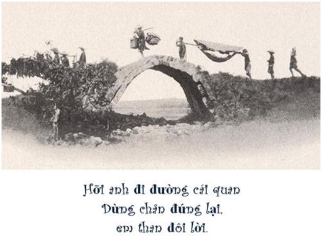 hoianh