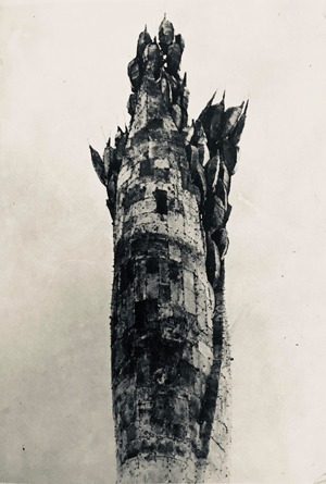 dieu khac mai chung5