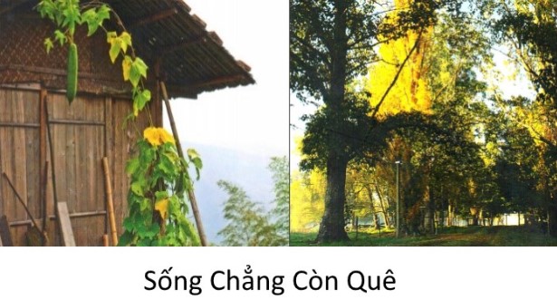 songchangconque