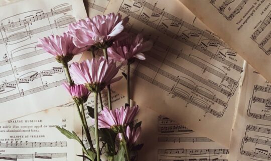 Ca khuc 50 tuoi Ranurte Unsplash 540x322