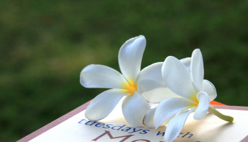 book flower