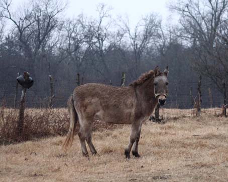 namngonoivematoc 2026 5