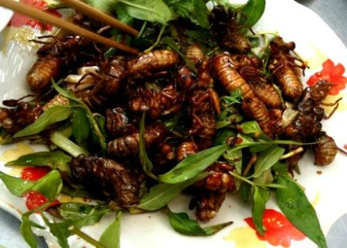 ve sau 2962 1439350052