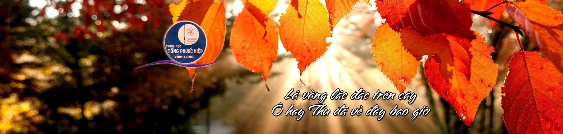 Autumn-3