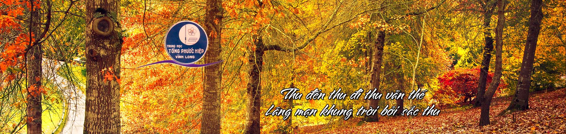 Autumn-6