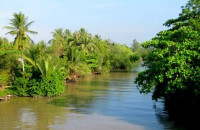Tiếng Đờn Cò Trên Dòng Sông Ô Môn - Nguyễn Vĩnh Long Hồ Tiếng Đờn Cò Trên Dòng Sông Ô Môn - Nguyễn Vĩnh Long Hồ