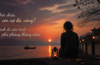 Cũng Như Chiều - Đặng Toản