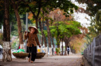 Người Con Nào Thì Cũng Thương Mẹ - Thái Phương 